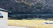 Stauanlage Schmala: unterer Teich (Blick vorbei am Wasserwerk, von Nordnordosten)