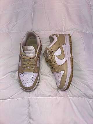 <span class="mw-page-title-main">Nike Dunk</span> Line of shoes by Nike