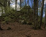 Blockschutt und Buchenwald am EbersbergLSG 2631001 Hessische Rhön