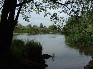 The bullaque near the village of El Robledo