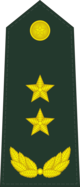 CAPF-0719-LTG.png