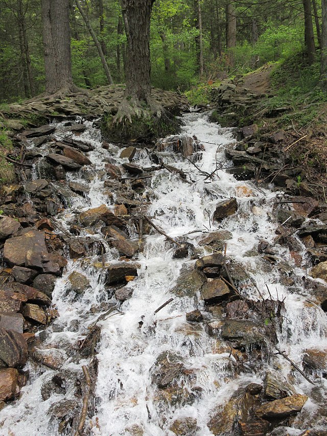 Caledonia State Park - Wikipedia