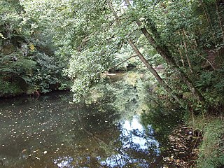 <span class="mw-page-title-main">Dunmere, Cornwall</span> Human settlement in England