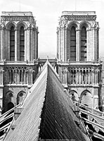 Башни, вид с крыши собора (фотоснимок, 1892)