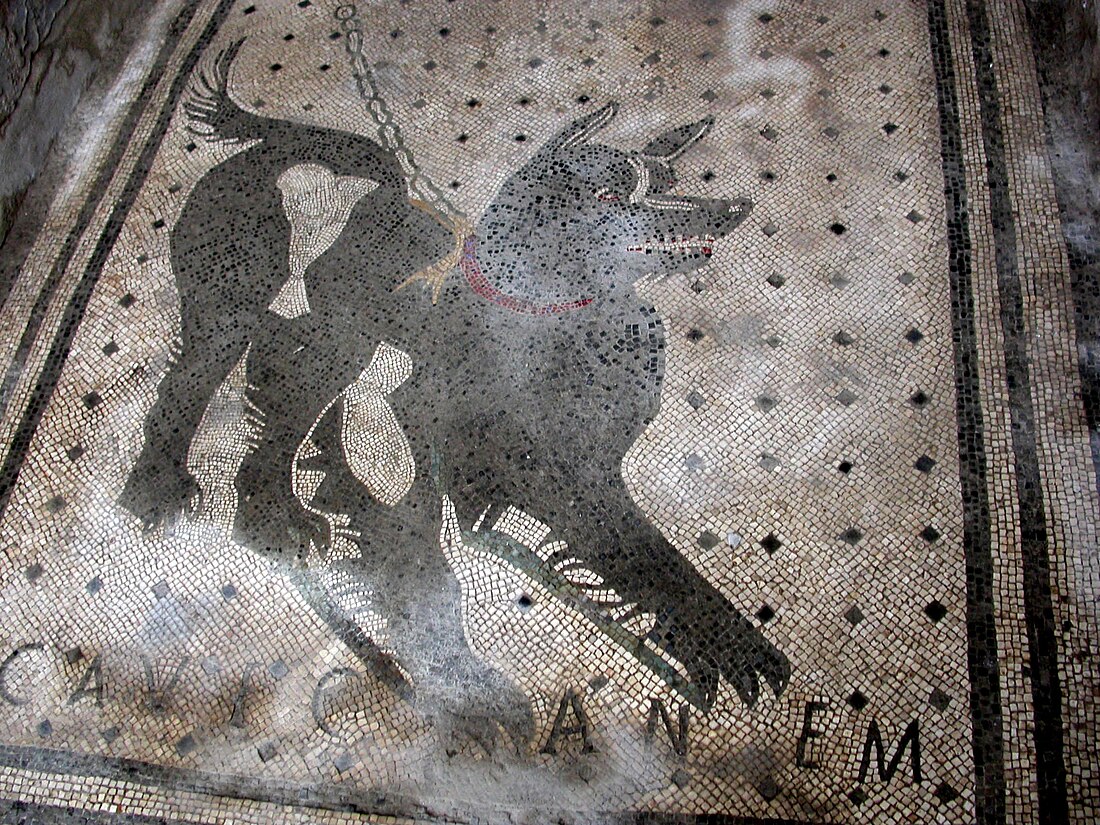 Cave canem