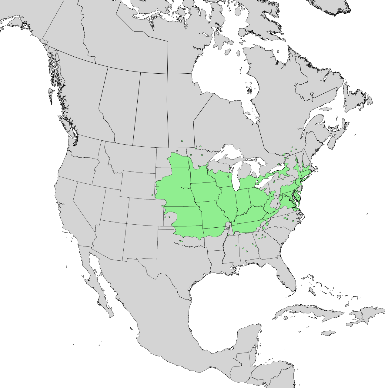 Celtis occidentalis range map 1.png