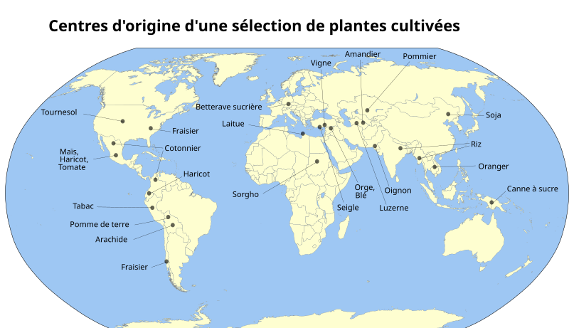 File:Centres d'origine plantes cultivées01.svg