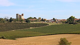 Le village et les vignes produisant l'armagnac.