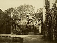 The garden between 1860 and 1874 Charlottenborg - Botanisk Have.jpg