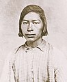 Chickasaw (mladi ratnik), porodica Muskhogean.