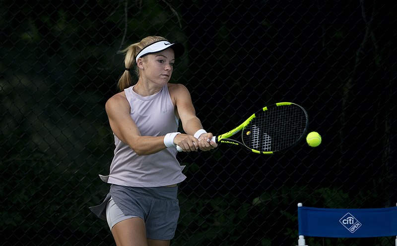 File:Citi Open 2018(43674486362).jpg