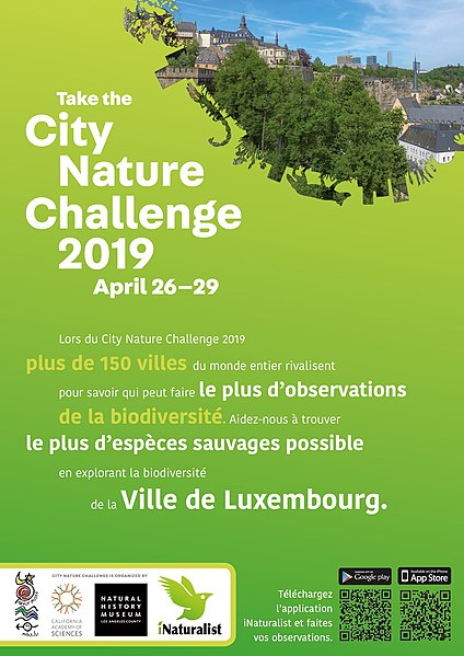 File:City Nature Challenge 2019 Luxembourg flyer front.jpg