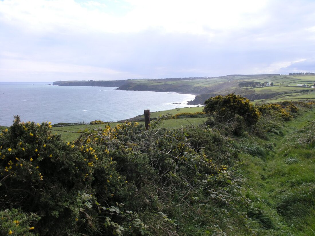 Ballynagaul, County Waterford