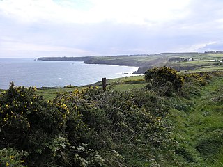 <span class="mw-page-title-main">Ballynagaul, County Waterford</span> Gaeltacht district in Munster, Ireland