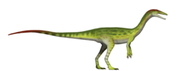 Coelophysis UDL.png