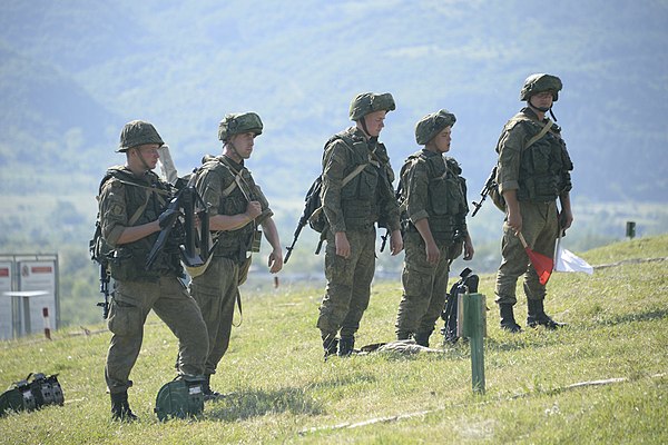 Служба в мотострелковых войсках. Армия РФ Мотострелковые войска. Мотострелковые войска Российской армии. Мотострелковые войска ha. Сухопутные Мотострелковые войска.