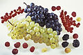 Composition Fruits rouges et raisins Cl J Weber (3) (23566804172).jpg