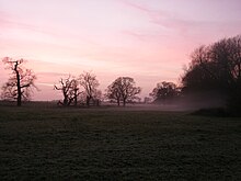 The Deer Park Coombe country park sunset over the deer park.JPG