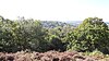 Croham Hurst-view.jpg