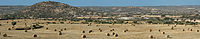 Haystacks in Cyprus