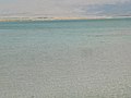 Dead Sea 09.jpg