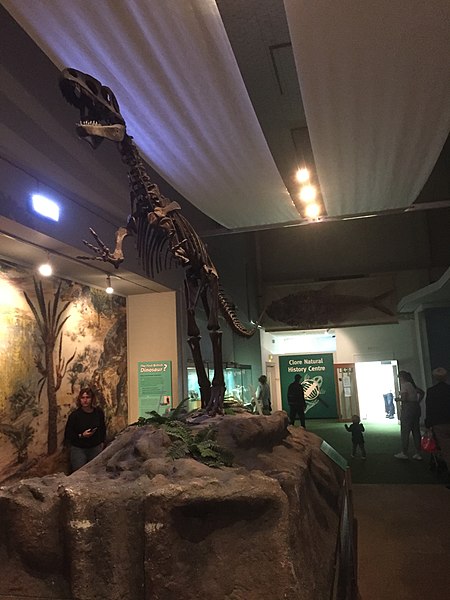 File:Dinozauras Liverpulio pasaulio muziejuje.jpg