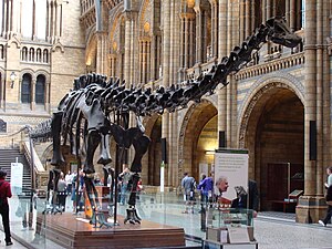 Natural History Museum, London