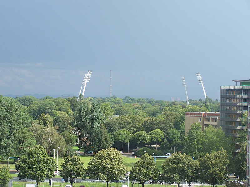 File:Dresden Harbig-Stadion Giraffen.jpg