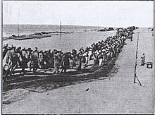 Egyptian Labour Corps moving along a Wire Netting Road Duguid op p.42ELC.jpeg