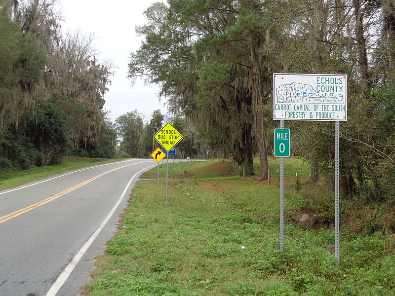 File:Echols County border GA135NB.JPG