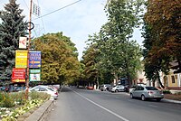 Edineț