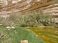 * English: The upper reaches of Nahal Zin/Wadi Zin (Springs of Ein Avdat) - near Sde Boker. * Deutsch: Der Oberlauf des Nahal Zin/Wadi Zin - Quellen von Ein Avdat - in der Nähe von Sde Boker.