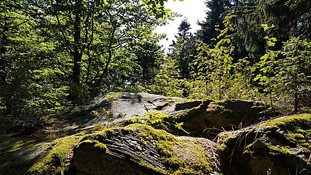 Entenbühl Gipfelfels