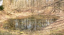 Mit Wasser gefüllter Erdfall im Elm