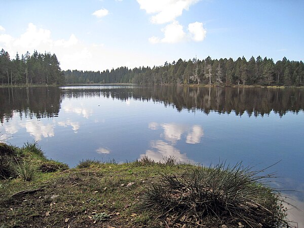 Etang de la Gruère