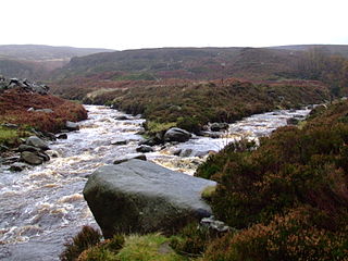 River Etherow river in north west England