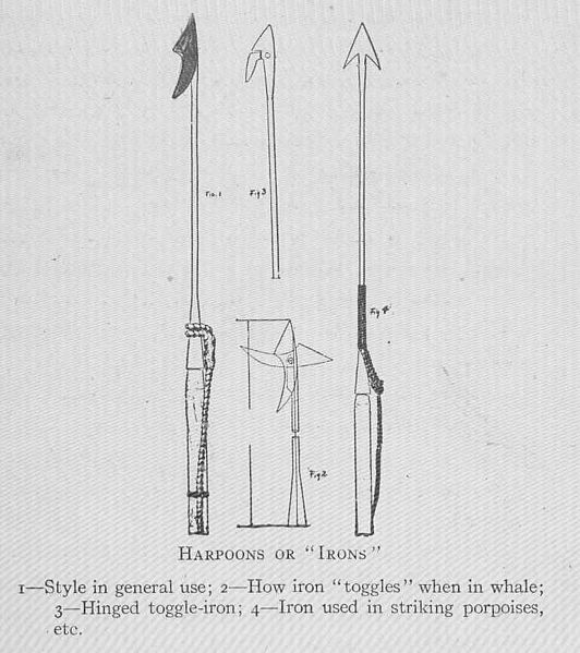 File:FMIB 44653 Harpoons or 'Irons'- 1-Style in general use; 2-How iron (toggles' when in whale; 3-Hinged toggle-iron; 4-Iron used in striking.jpeg