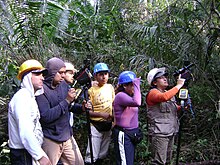 National Forest Inventory of Peru FMLT2.JPG