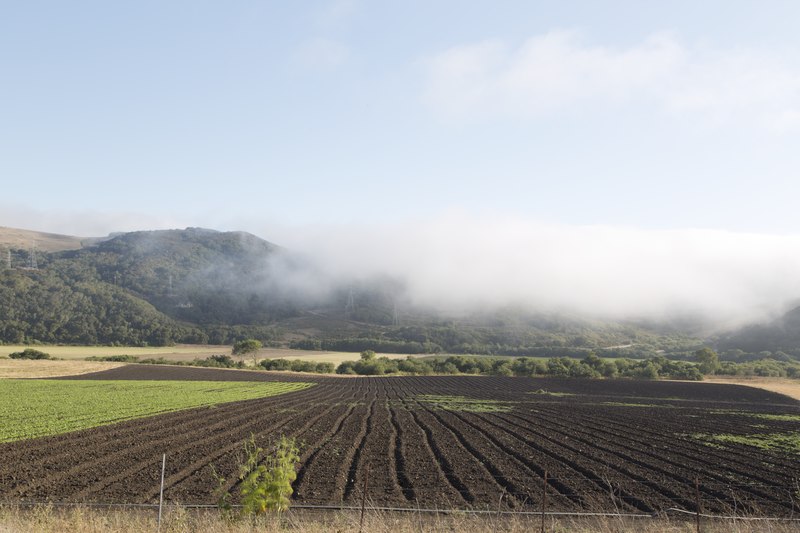 File:Farm. Beautiful scenes along Route 46 in California LCCN2013632560.tif