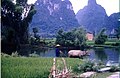 Farmer Yangshuo.jpg