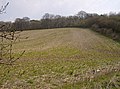 Farmland at Ridgeway Copse - geograph.org.uk - 2406376.jpg