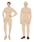 Female Male Figure.svg