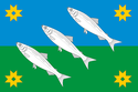 Flag of Muyezersky