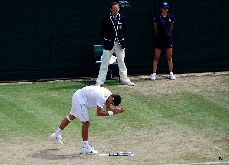 File:Flickr - Carine06 - Novak Djokovic (6).jpg