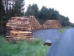 Foildarrig - geograph.org.uk - 264315.jpg