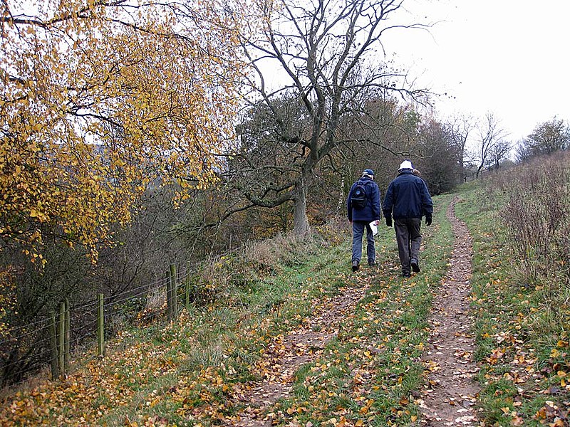 File:Footpath towards Thorgill Farm - geograph.org.uk - 2689541.jpg