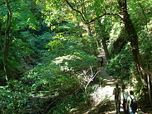 Ein steiles Tal durch Laubwälder. Auf einer Seite wurde ein Fußweg geschnitten; 5 Wanderer benutzen es.