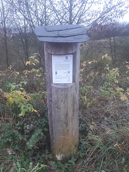 File:Freudenberger Märchenweg, Stele "Das goldene Pantofferl".jpg