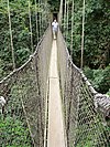 Rainforest canopy walk at Kakum National Park