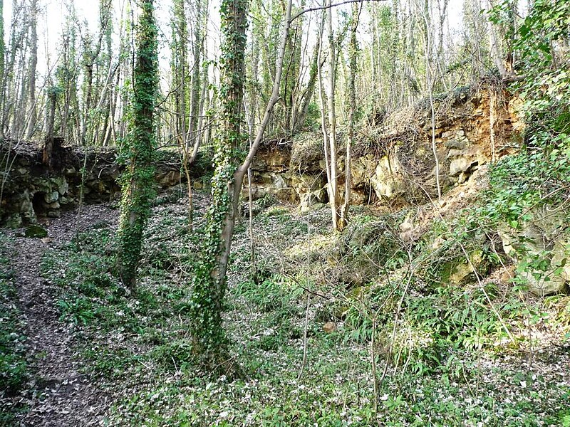 File:Grey Stones, Pot Ridings Wood, Sprotbrough Gorge - geograph.org.uk - 3339197.jpg